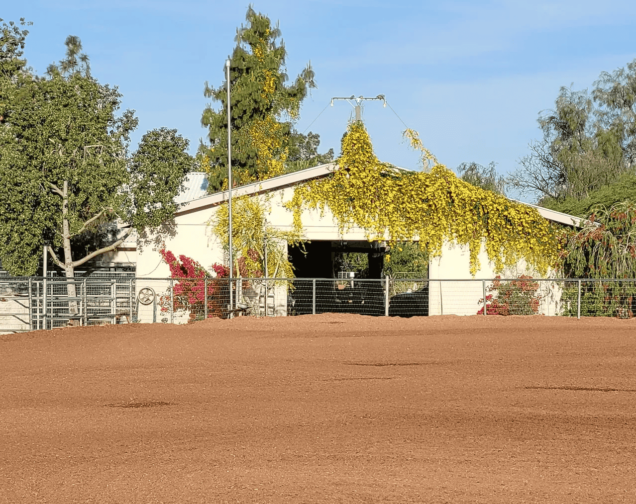 Euro Riding Center horse boarding facility in Phoenix Arizona at sunset
